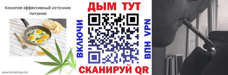 дарк нет какой сайт Снежногорск Печенье с ТГК марихуана