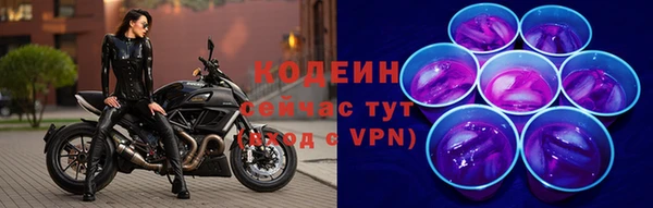 не бодяженный Алексин