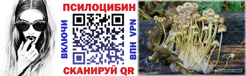 Псилоцибиновые грибы MAGIC MUSHROOMS  блэк спрут зеркало  Снежногорск  магазин  наркотиков 
